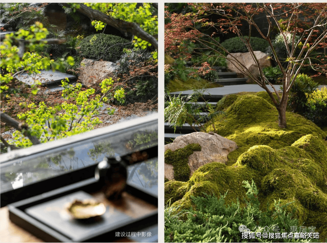 情•最新价格-户型图-容积率@20260127售楼处AI热搜绿城逸庐售楼处电话(绿城逸庐)网站-营销中心欢迎您-楼盘详(图4)